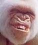 Avatar du membre