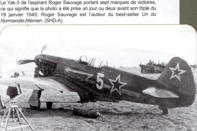 scan1010.jpg