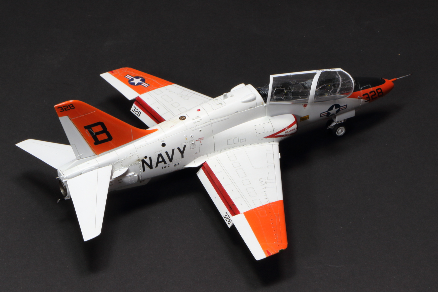 T-45-03.JPG
