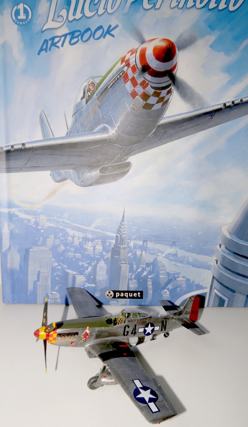 Retouché-IMG_5859-P51D Mustang-Airfix1-72.JPG