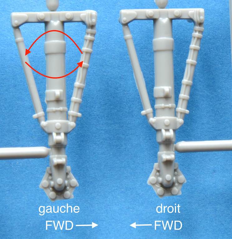 jambes.jpg