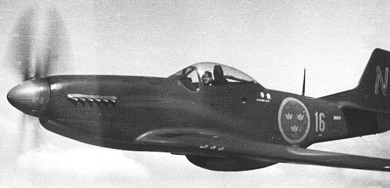 N.A. P-51D-5-NA (26031 - N bleu - F16).jpg