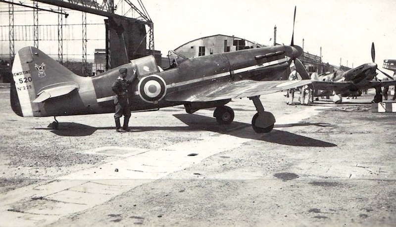 Vichy-Dewoitine-D-520-Escadrille-GC-III.6-No-229-France-1941-ebay-01 - copie.jpg