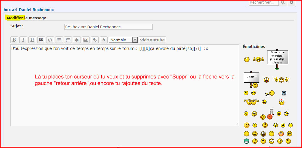 BECHENNEC 1 copie.jpg