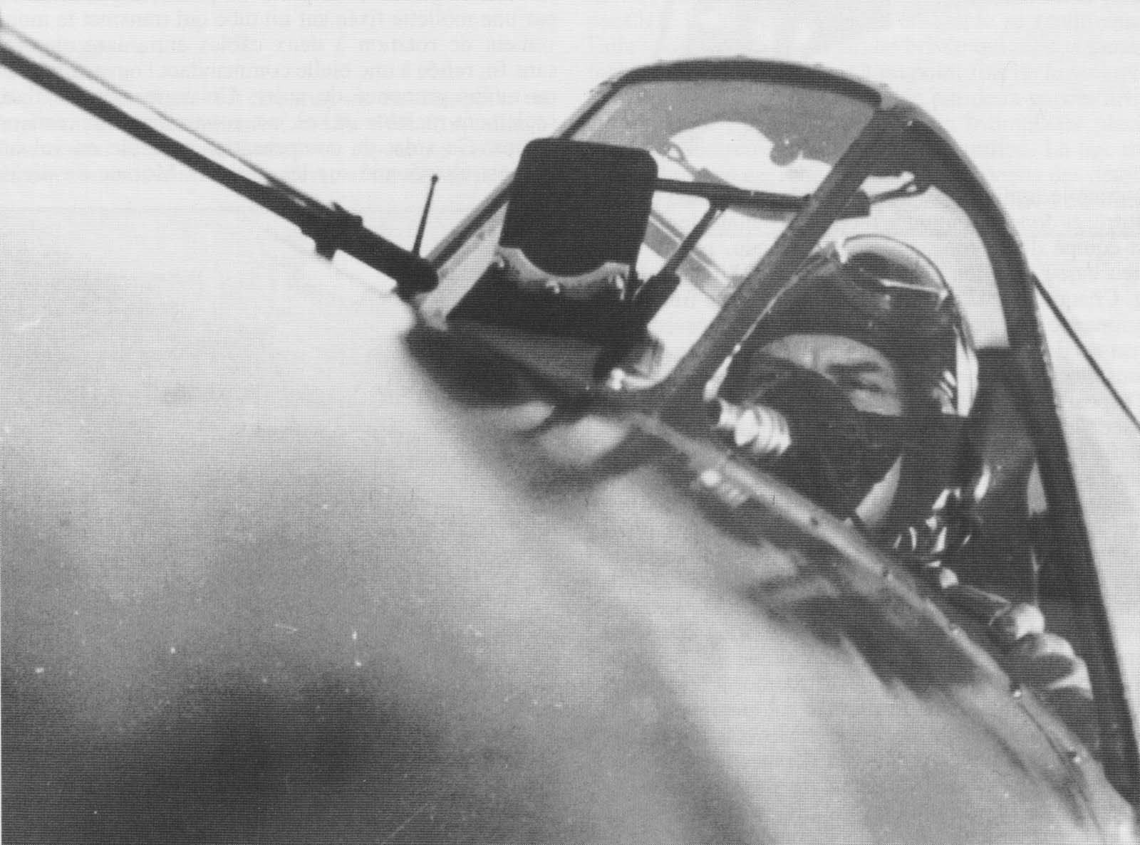 ms406opl31montage.jpg