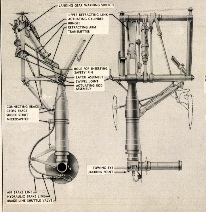 A20 LDG.jpg