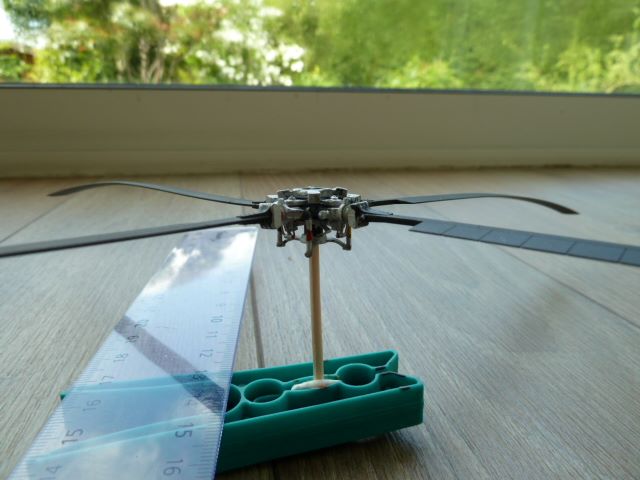 P1020729.JPG