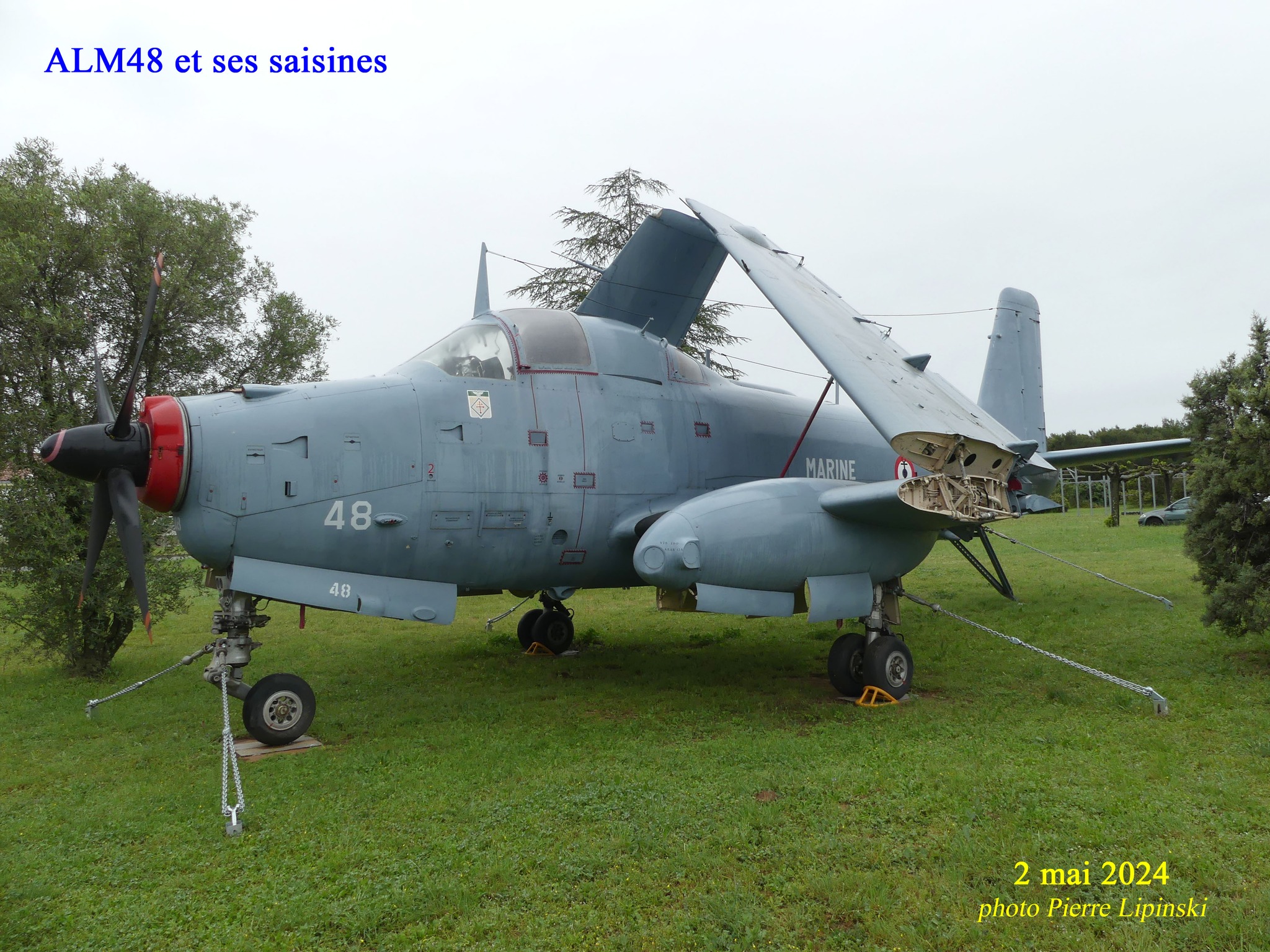 ALM n°48.jpg