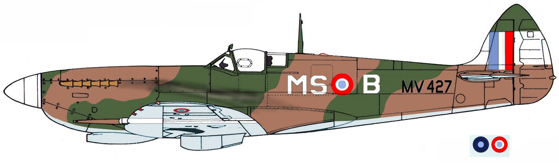 Aircraft-profile-Spitfire-MkVIII.jpg