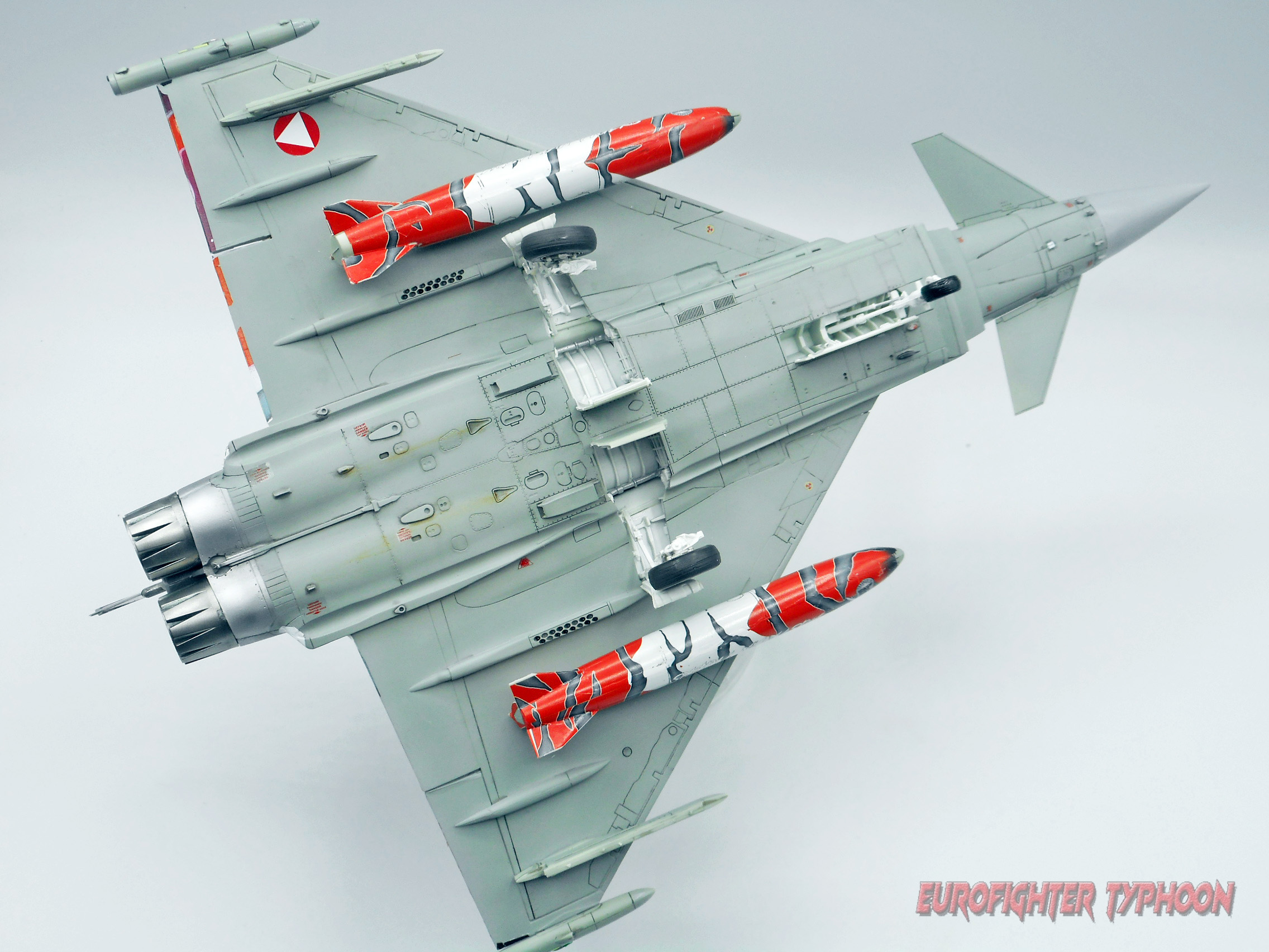 EURO AUSTRIAN TIGER -5.jpg