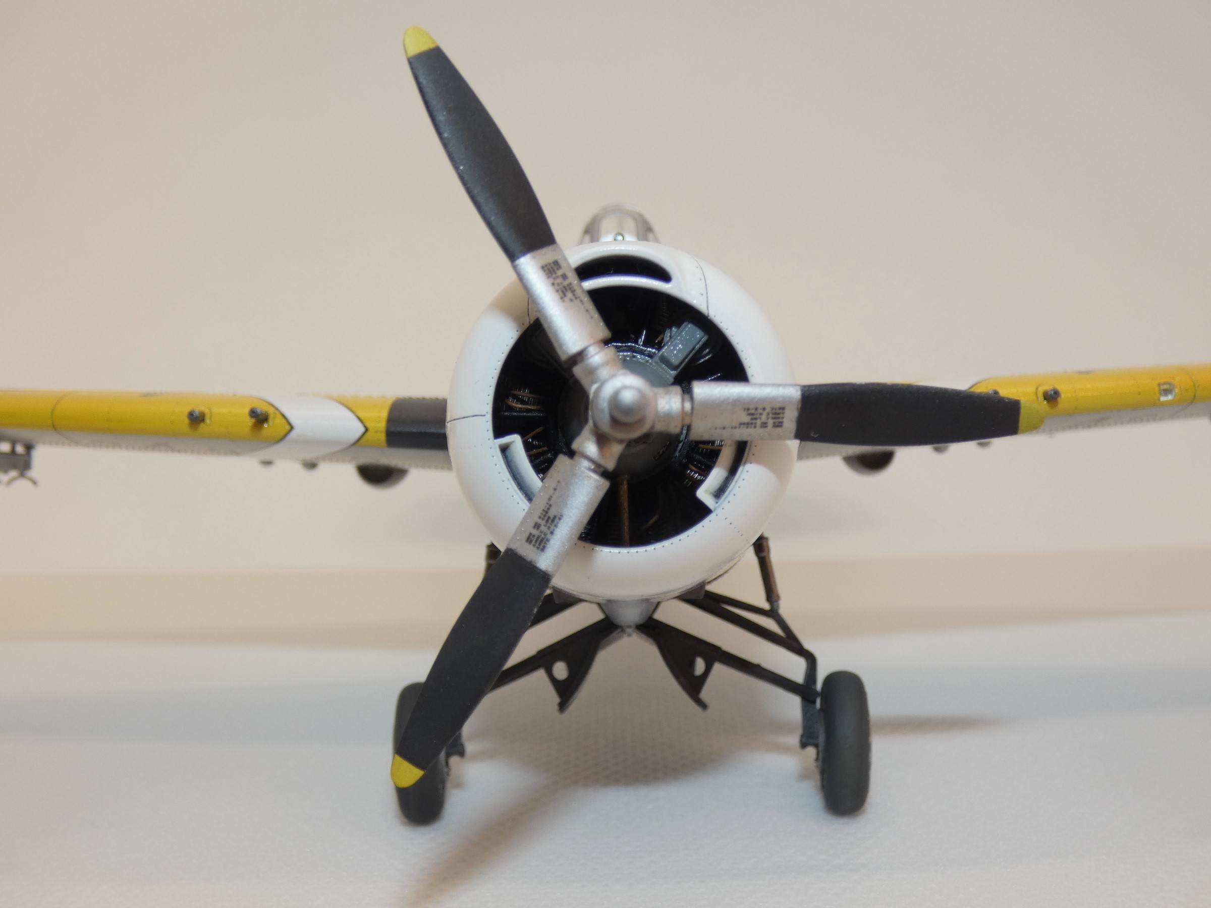 P1020127.JPG