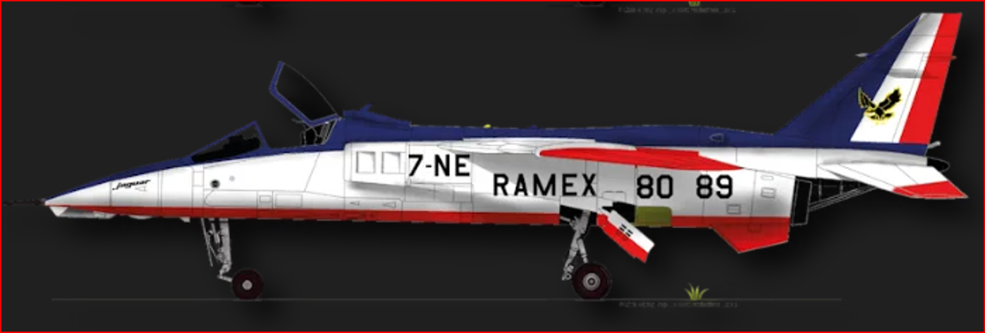 DECO JAGUAR RAMEX.png