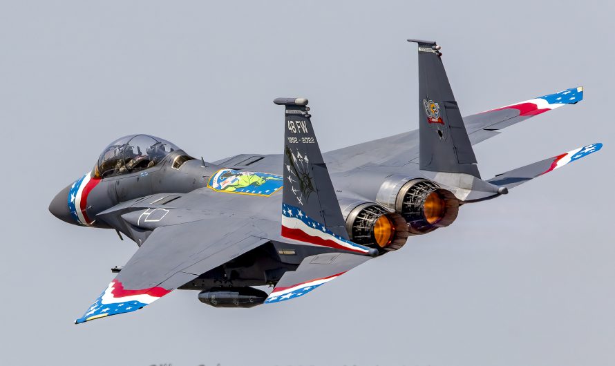 F-15E Strike Eagle  « Statue de la Liberté »  et walkaround